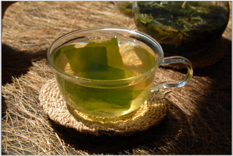 Sencha Wakame tengeri alga