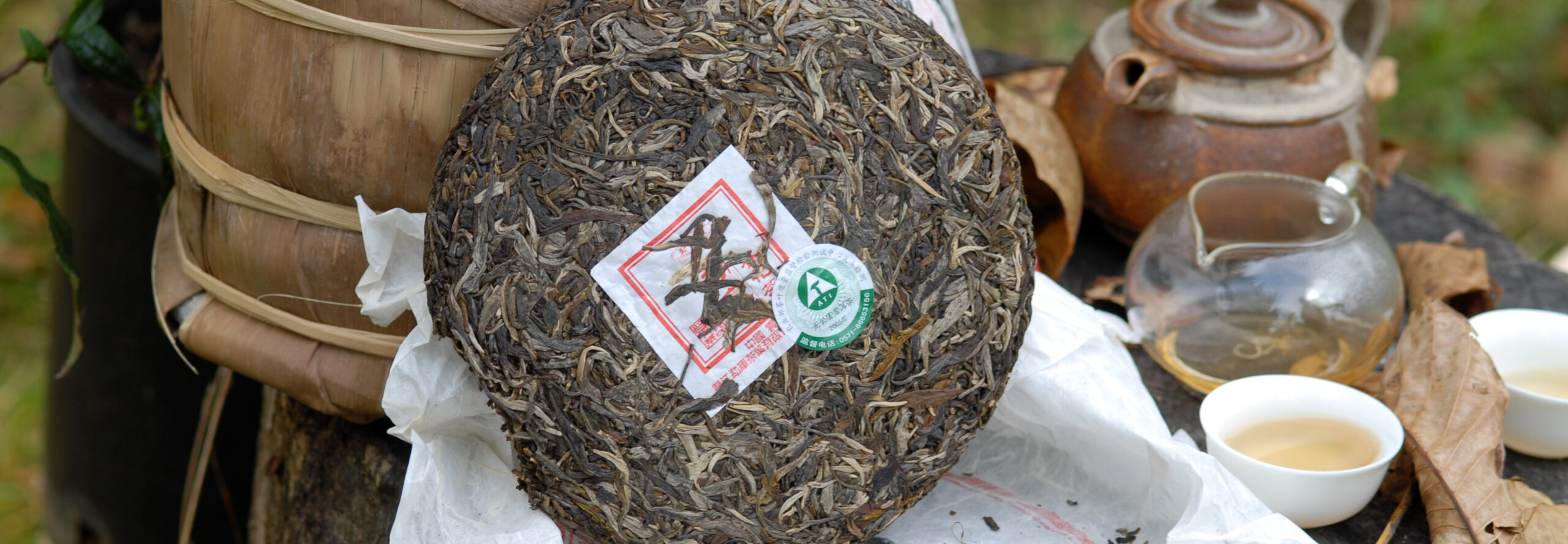 sheng-puerh-tea