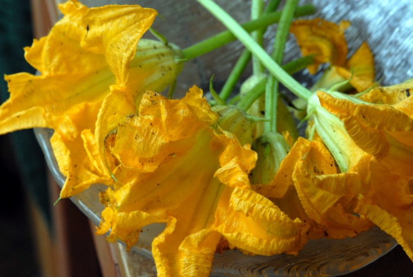 teában sült tökvirág