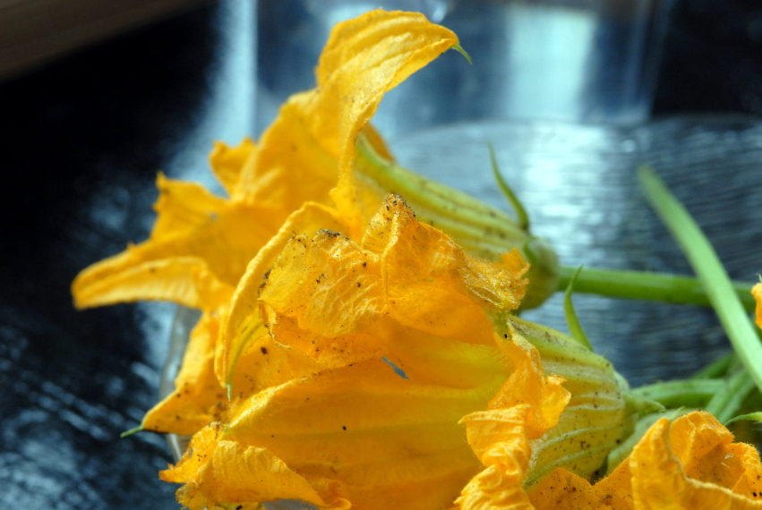 teában sült tökvirág