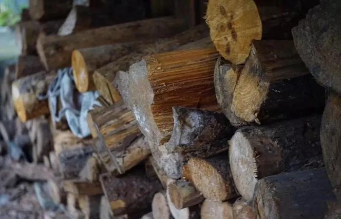 tongmu lapsang souchong fekete tea