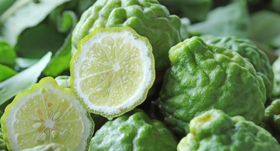 Earl-Grey-Bergamott-french-style