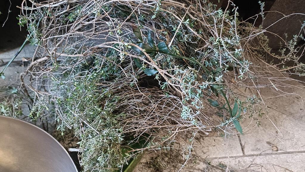 a herbaséf kakukkfüves tészta