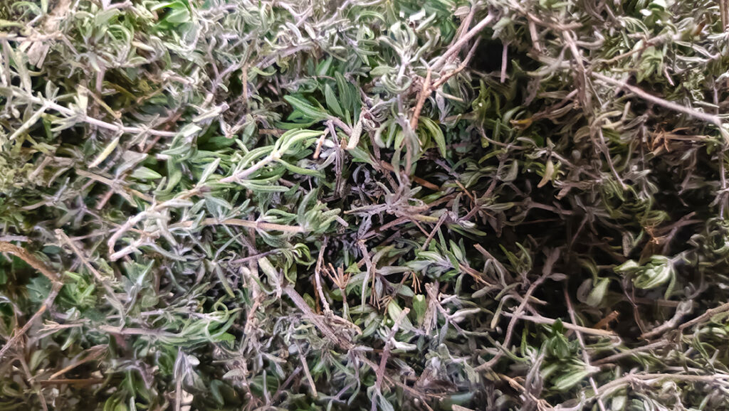 a herbaséf kakukkfüves tészta