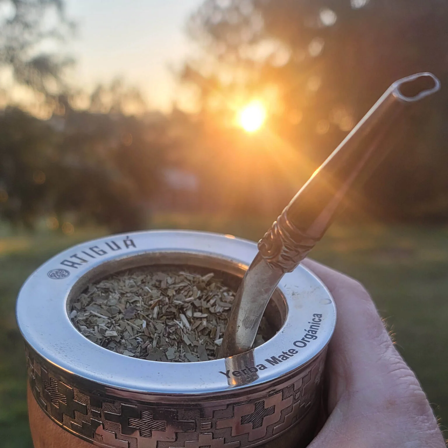 ivu yerba mate