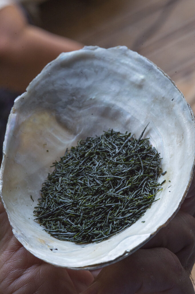 csaszari-hodolati-dijnyertes-sencha