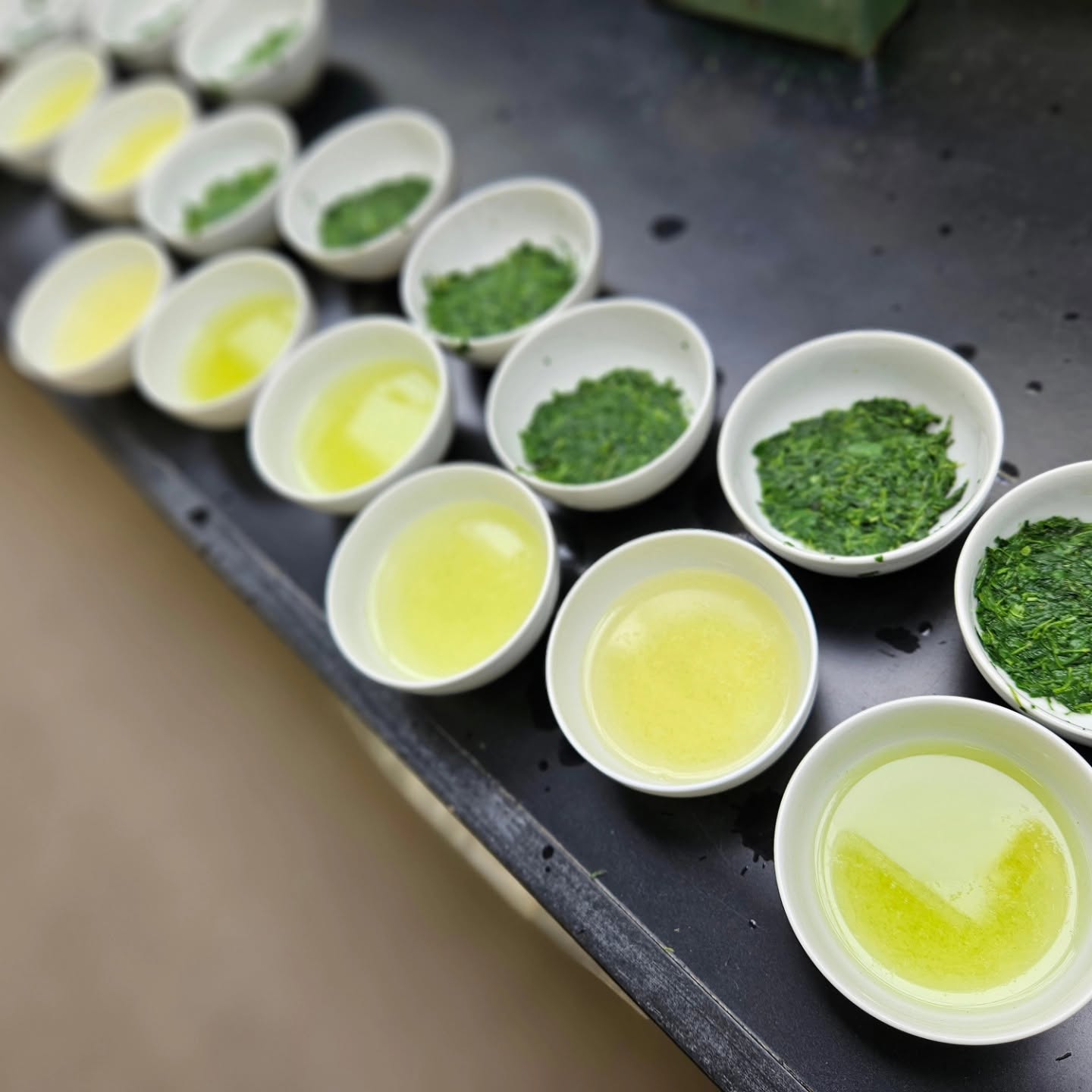 hoshino-seichaen-gyokuro