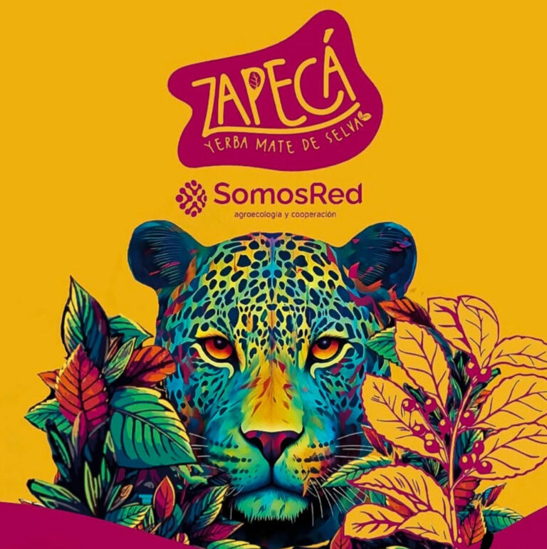 Zapeca-yerba-mate-acroecologica