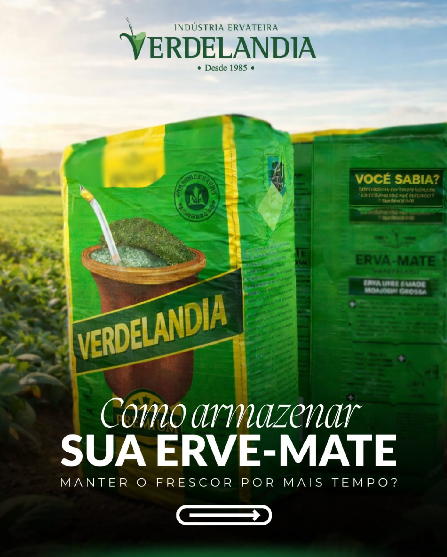 Verdelandia Chimarrao Premium Nativa Vaccum 500g