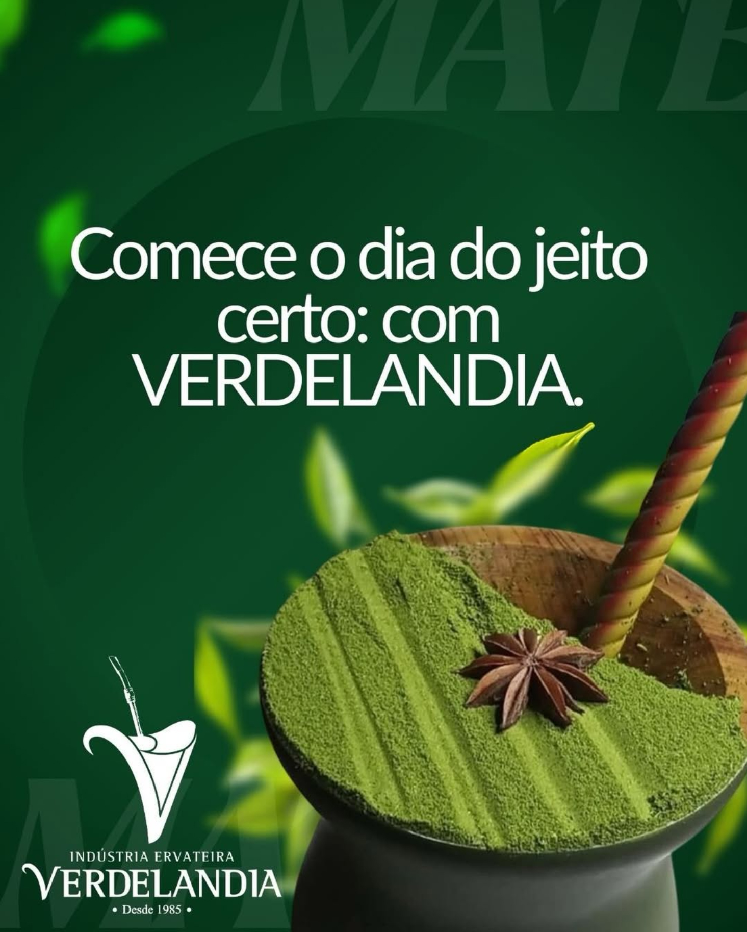 Verdelandia Chimarrao Premium Nativa Vaccum 500g